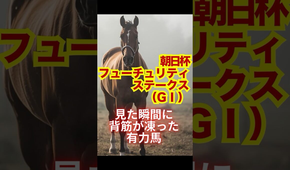 朝日杯フューチュリティステークス（GⅠ）見た瞬間に背筋が凍った有力馬 #競馬 #阪神競馬 #朝日杯フューチュリティステークス #重賞予想 #競馬予想 #無料予想 #競馬好き #馬券 #馬券生活
