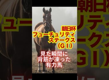 朝日杯フューチュリティステークス（GⅠ）見た瞬間に背筋が凍った有力馬 #競馬 #阪神競馬 #朝日杯フューチュリティステークス #重賞予想 #競馬予想 #無料予想 #競馬好き #馬券 #馬券生活