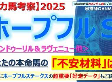 【ホープフルステークス2025 有力馬考察】アンドゥーリル＆ラヴェニュー他 人気馬5頭を徹底考察！