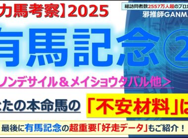 【＜後編＞有馬記念2025 有力馬考察】ダノンデサイル＆メイショウタバル他 人気馬5頭を徹底考察！