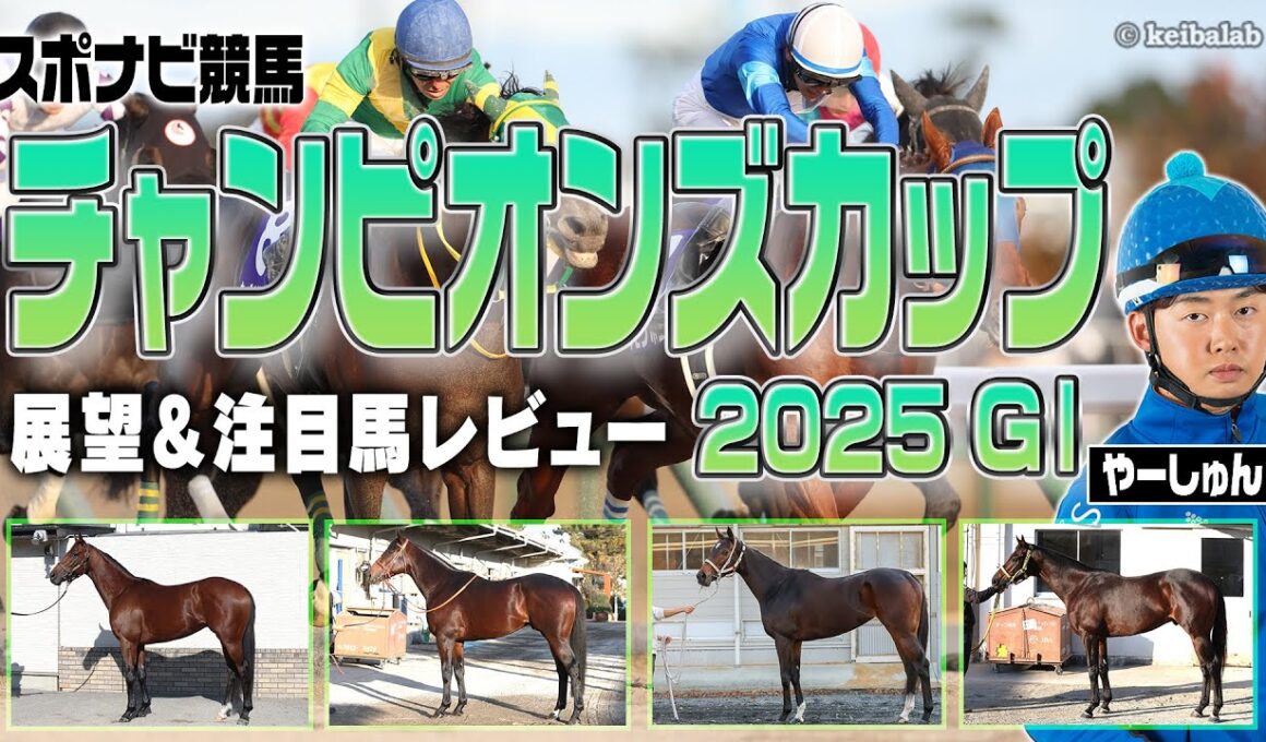 【競馬】チャンピオンズカップの中京ダートは内枠・逃げ先行が有利！妙味アリの注目馬は？ナルカミ ダブルハートボンド ウィルソンテソーロ アウトレンジ オメガギネス など【レース展望／スポナビ競馬】