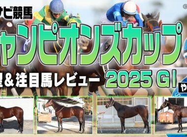 【競馬】チャンピオンズカップの中京ダートは内枠・逃げ先行が有利！妙味アリの注目馬は？ナルカミ ダブルハートボンド ウィルソンテソーロ アウトレンジ オメガギネス など【レース展望／スポナビ競馬】