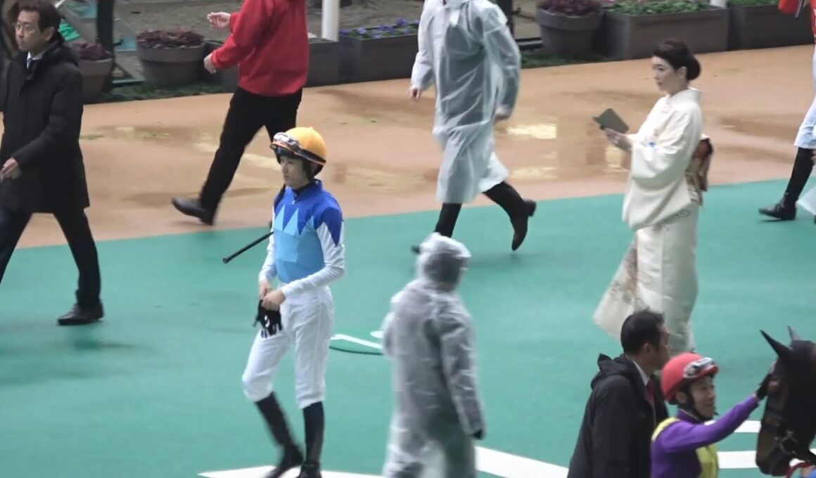 【現地 パドック】2025 G1 朝日杯フューチュリティステークス  各陣営の様子【阪神競馬場】