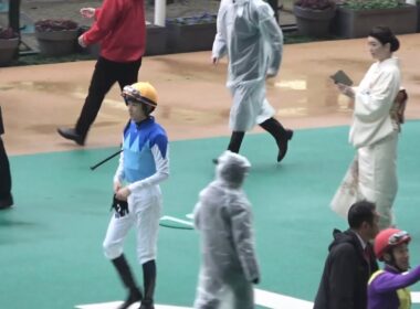 【現地 パドック】2025 G1 朝日杯フューチュリティステークス  各陣営の様子【阪神競馬場】