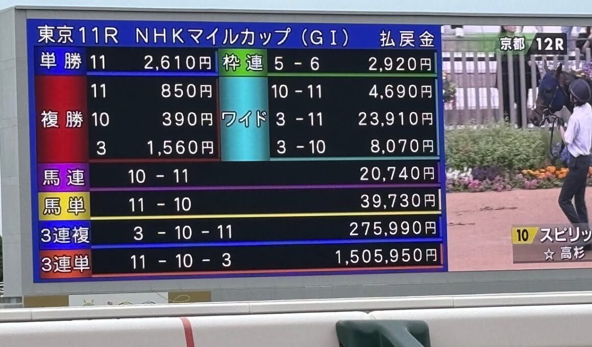 NHKマイルカップ2025 三連単100万超えでどよめきが起きる京都競馬場