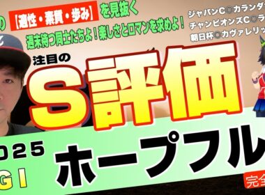 【ホープフルステークス2025】将来のG1馬を見抜こうぜ！有馬記念前日に逸材集結！アンドゥーリル、ラヴェニュー、ショウナンガルフら原石たちの出世争い【競馬予想】