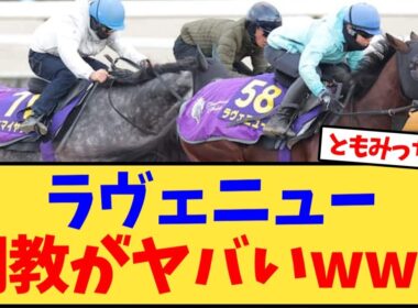 【ホープフルS】ラヴェニューの調教がヤバいwww【競馬反応集】
