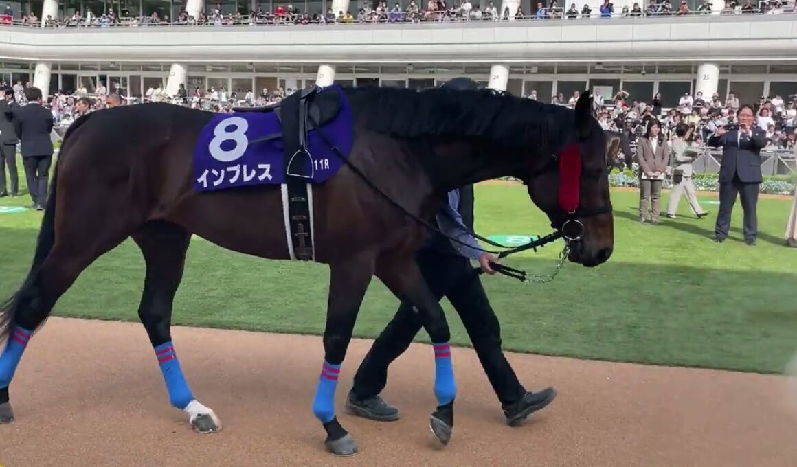 中山グランドジャンプパッドク