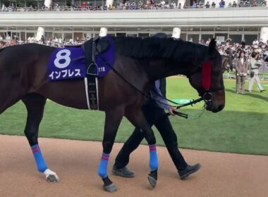 中山グランドジャンプパッドク