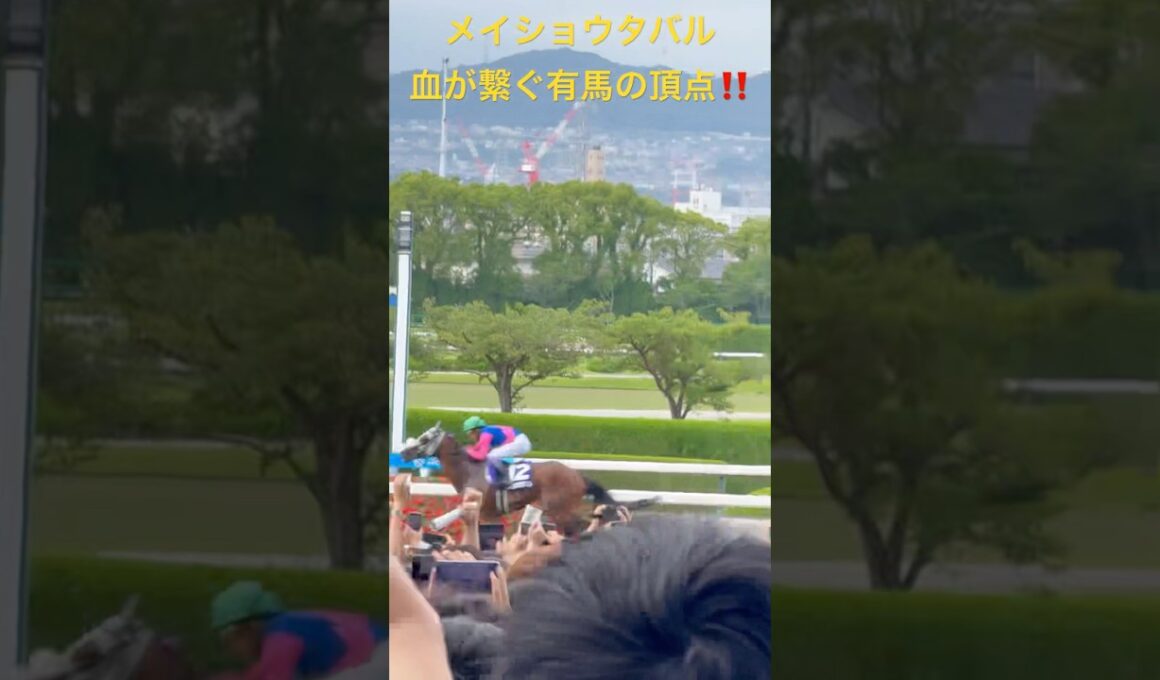 【競馬現地映像】メイショウタバル物語・継承──宝塚記念制覇から有馬記念へ。松本オーナーの意志とゴールドシップの血が導くグランプリへの道　宝塚記念2025.6.15