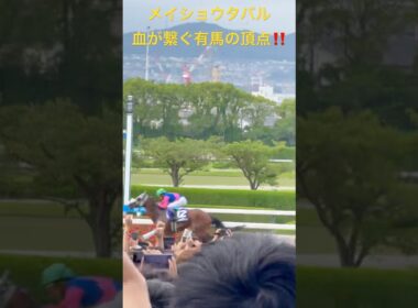 【競馬現地映像】メイショウタバル物語・継承──宝塚記念制覇から有馬記念へ。松本オーナーの意志とゴールドシップの血が導くグランプリへの道　宝塚記念2025.6.15