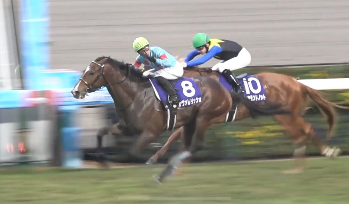 【現地】2025 G1 朝日杯フューチュリティステークス カヴァレリッツォ C.デムーロ【生ファンファーレ 阪神競馬場】