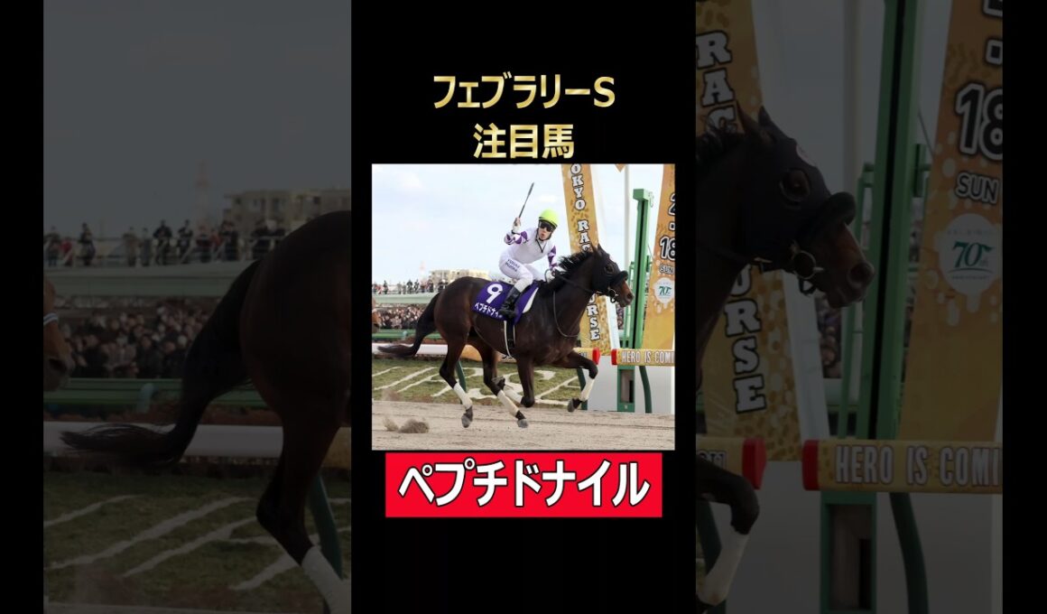 フェブラリーS注目馬 ペプチドナイル！#東京競馬場 #フェブラリーステークス #ペプチドナイル