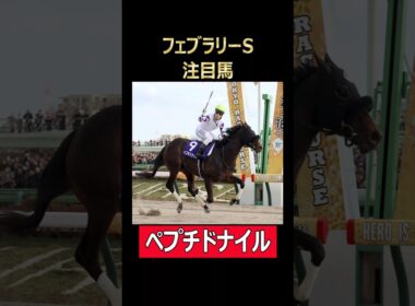 フェブラリーS注目馬 ペプチドナイル！#東京競馬場 #フェブラリーステークス #ペプチドナイル