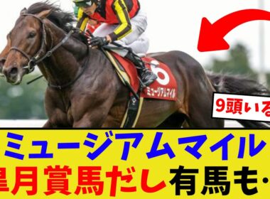 有馬記念、ミュージアムマイルの取捨…【競馬反応集】