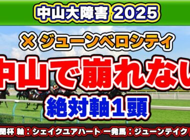 【中山大障害2025予想】データ・舞台設定抜群で安心して見ていられる絶対軸1頭！致命的な消しデータ該当の人気馬とは？中山で一変の一発馬も公開！