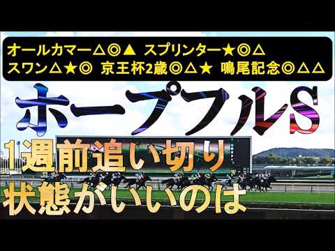 ホープフルステークス2025　1週前追い切り　絶好の動きを見せたのは
