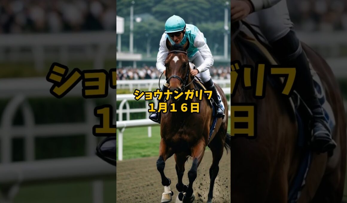 【禁断AIデータ分析】ホープフルステークス ３つの鉄板データ 禁断AI競馬ラボ