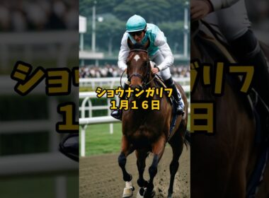 【禁断AIデータ分析】ホープフルステークス ３つの鉄板データ 禁断AI競馬ラボ