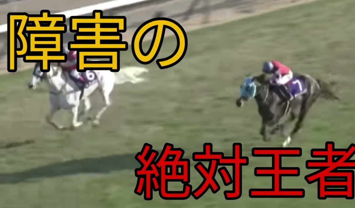 【Special Times】中山大障害編