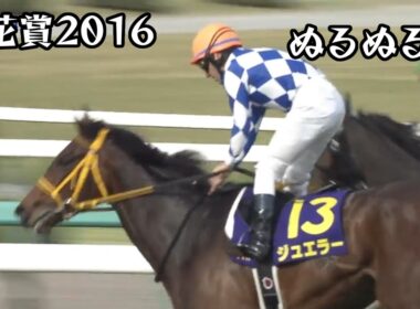 ジュエラー 桜花賞 2016 ぬるぬる化で見よう conv to 60fps