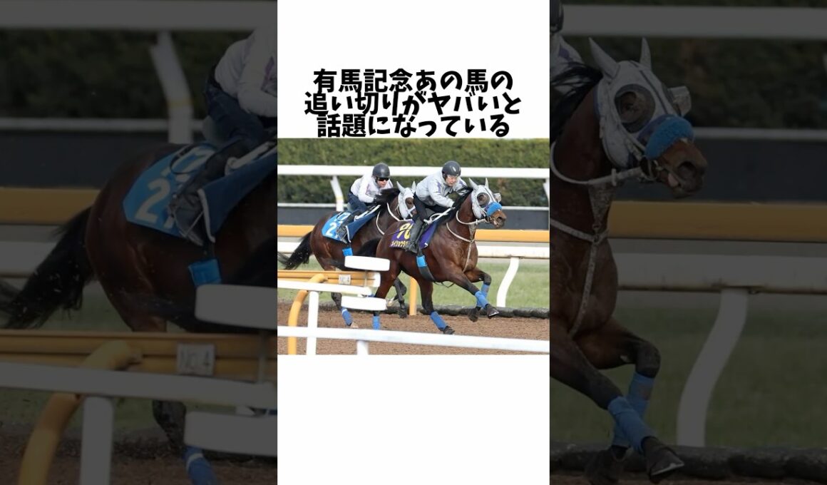 【有馬記念】あの馬の一週前追い切りがヤバすぎると話題に#競馬 #競馬予想 #競馬反応集 #競馬の反応集 #有馬記念#メイショウタバル