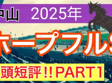 【ホープフルステークス2025】蓮の競馬予想(全頭短評PART1)