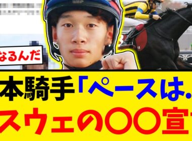 【有馬記念】展開のカギを握るミステリーウェイ鞍上松本大輝騎手のコメントがヤバすぎる【競馬反応集】【2ch】