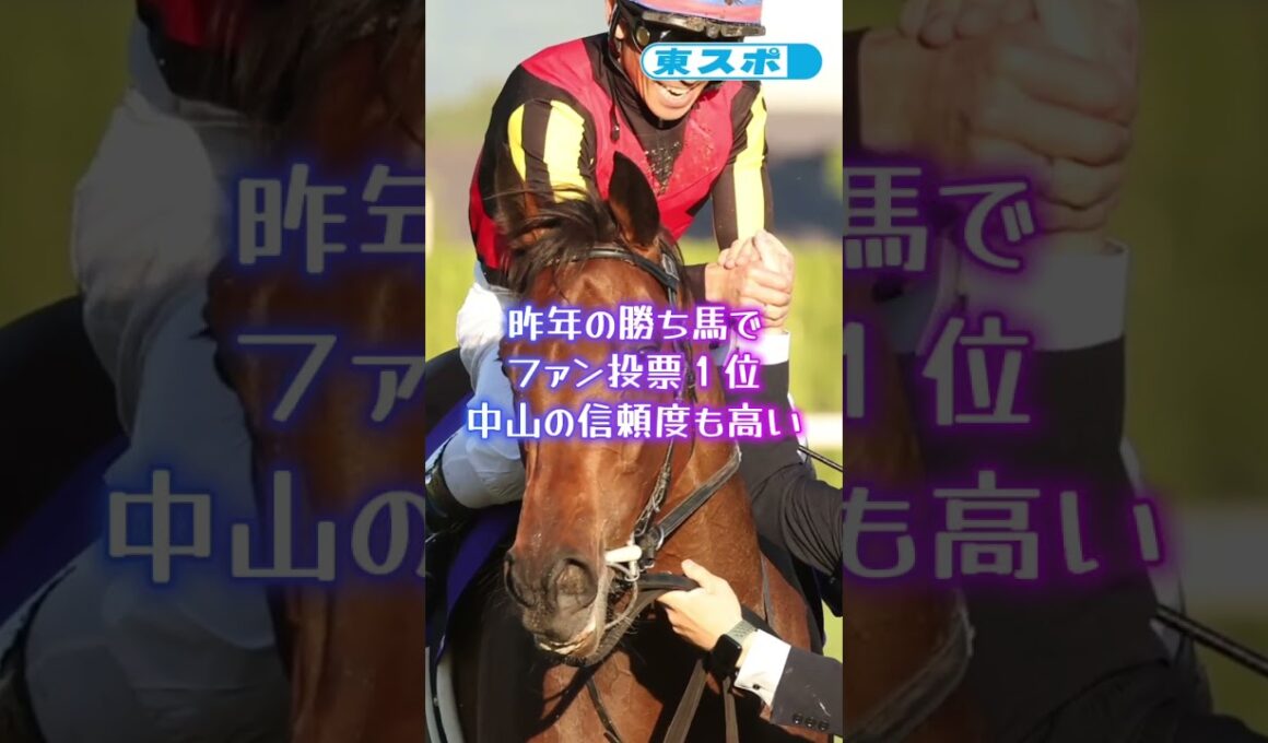 【やっぱり当たる新理論・三柱馬券＝有馬記念編】 #競馬 #horse  #shorts