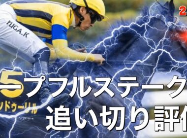 🎯【ホープフルステークス2025】極端な仕上がりが目につきました。アーレムアレス、アスクエジンバラ、ラヴェニュー、ショウナンガルフの動きは?S評価は2頭、最終で変わり身がほしい馬もC、D評価