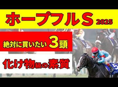 【ホープフルステークス2025】新馬戦の走りが化け物級！消去データをクリアした絶対に買いたい推奨３頭！