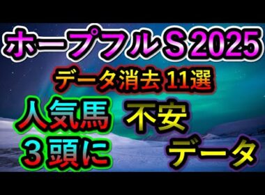 【ホープフルステークス2025】 消去データ11選　人気馬3頭に不安データ