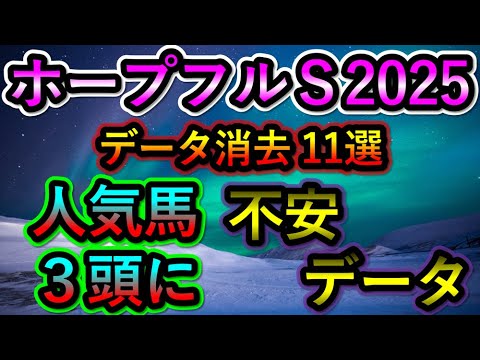 【ホープフルステークス2025】 消去データ11選　人気馬3頭に不安データ
