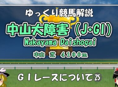 ゆっくりG1レース解説㉕　中山大障害