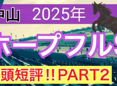 【ホープフルステークス2025】蓮の競馬予想(全頭短評PART2)