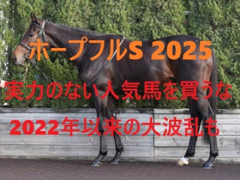 ホープフルステークス 2025 抜けた馬はおらず人気馬に死角あり 2022年以来の大波乱も