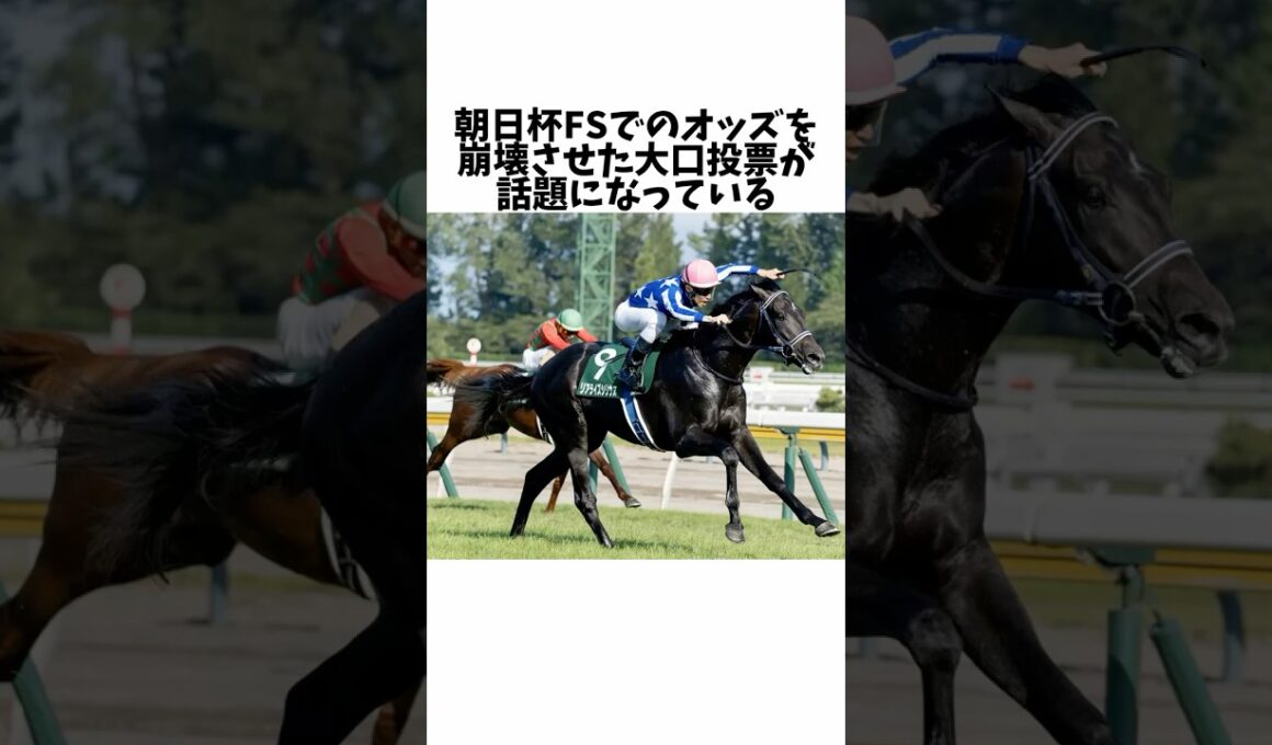 【朝日杯FS】大口投票でのオッズ崩壊が話題になっている#競馬 #競馬予想 #競馬の反応集 #競馬反応集 #朝日杯フューチュリティステークス
