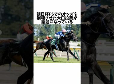 【朝日杯FS】大口投票でのオッズ崩壊が話題になっている#競馬 #競馬予想 #競馬の反応集 #競馬反応集 #朝日杯フューチュリティステークス