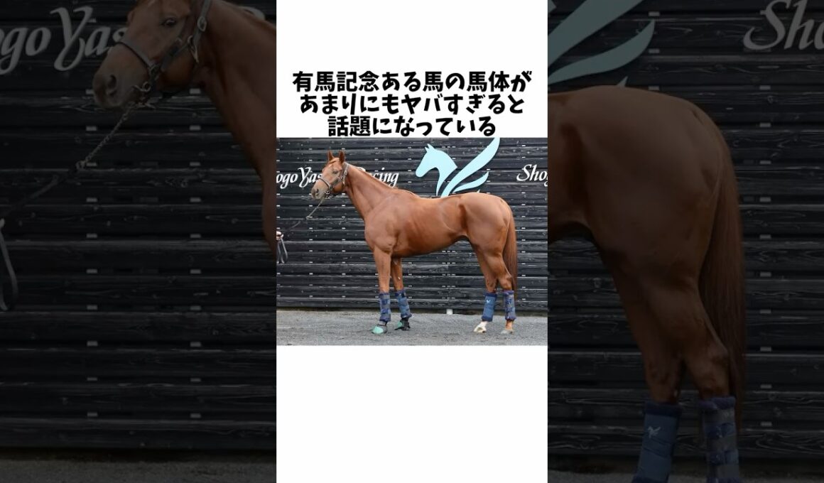 有馬記念あの馬の馬体がヤバすぎると話題になっている#競馬 #競馬予想 #競馬反応集 #有馬記念 #ダノンデサイル