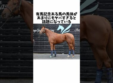 有馬記念あの馬の馬体がヤバすぎると話題になっている#競馬 #競馬予想 #競馬反応集 #有馬記念 #ダノンデサイル