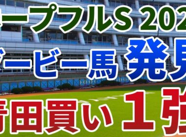 ホープフルステークス2025【絶対軸1頭】公開！人気馬アンドゥーリルの課題を検証！Ｇ１級のポテンシャルを秘める１強は？