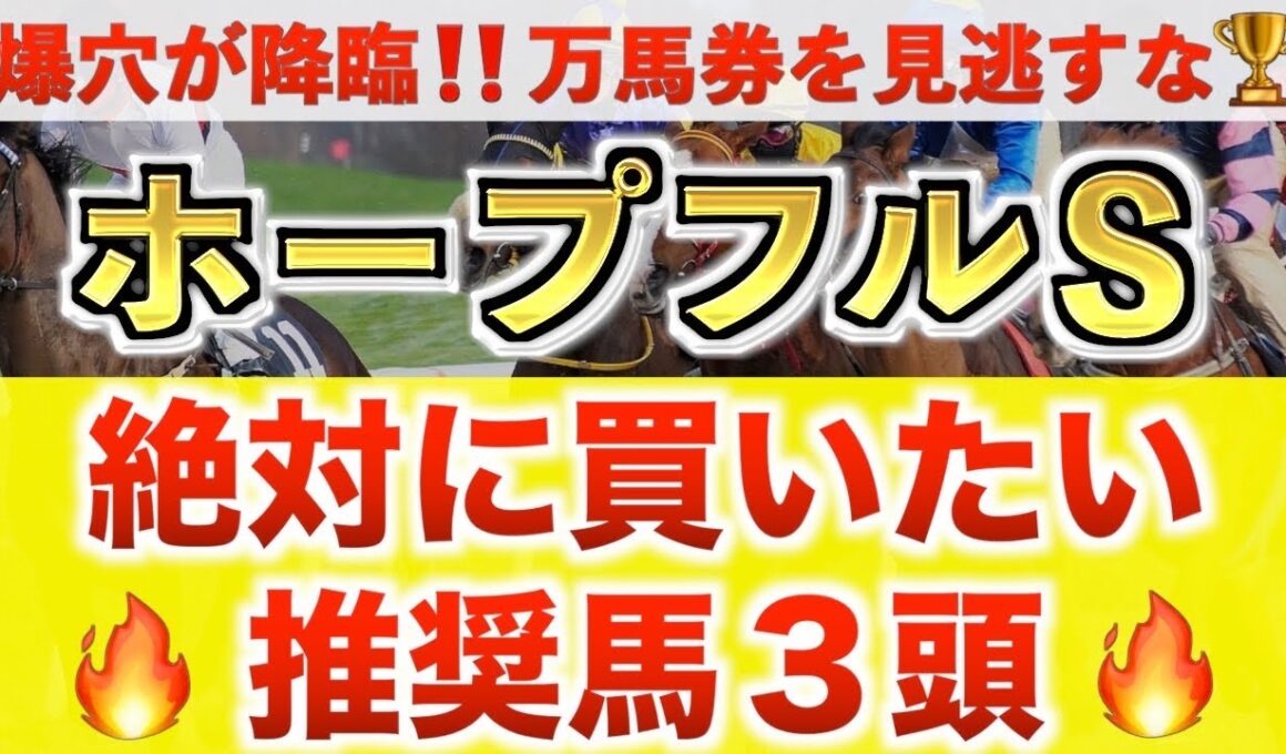 【ホープフルS2025 予想】ラヴェニュー過去最高のデキ？プロが"全頭診断"から導く絶好の3頭！