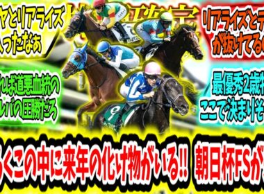 『【枠順決定】おそらくこの中に来年の化け物がいる‼ 朝日杯FSが来る‼』に対するみんなの反応【競馬の反応集】