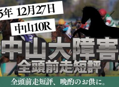 【中山大障害 2025】12/27 中山10R ラガマフィンの全頭前走短評