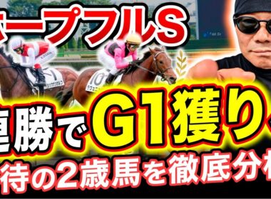 【ホープフルS 2025】調教抜群ラヴェニューよりも上！2歳G1は〇〇があるこの馬から買え【競馬予想・競馬・初心者】