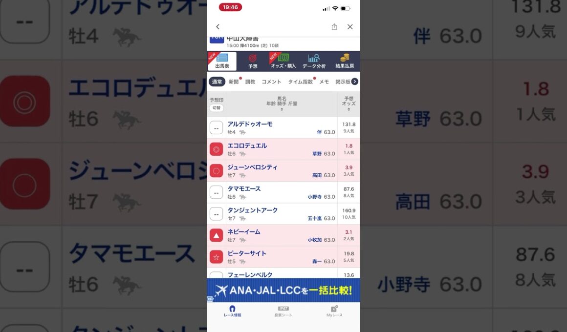 ☆2025年中山10R　G1 　中山大障害　先行予想☆