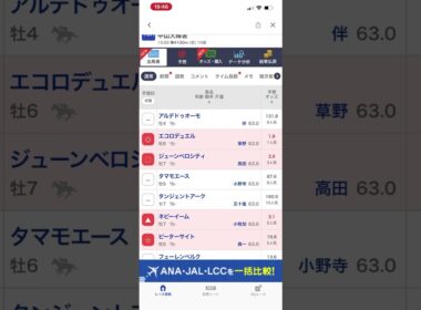 ☆2025年中山10R　G1 　中山大障害　先行予想☆