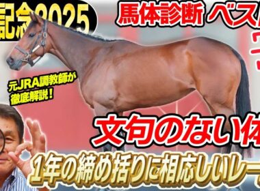【有馬記念2025】中村均元調教師が馬体診断ベスト５を発表 完璧な仕上がり！1年の総決算に相応しいレースの主役はこの馬だ！《東スポ競馬》