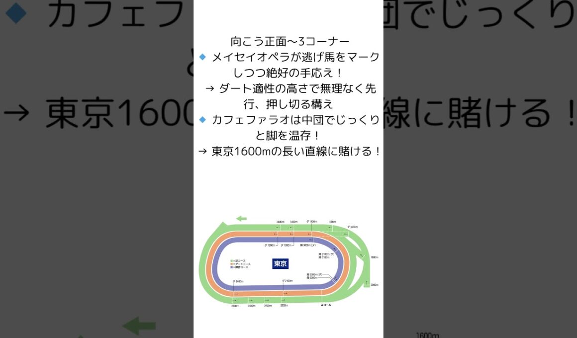 【ロマン】英雄対決　メイセイオペラVSカフェファラオinフェブラリーステークス
