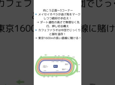 【ロマン】英雄対決　メイセイオペラVSカフェファラオinフェブラリーステークス